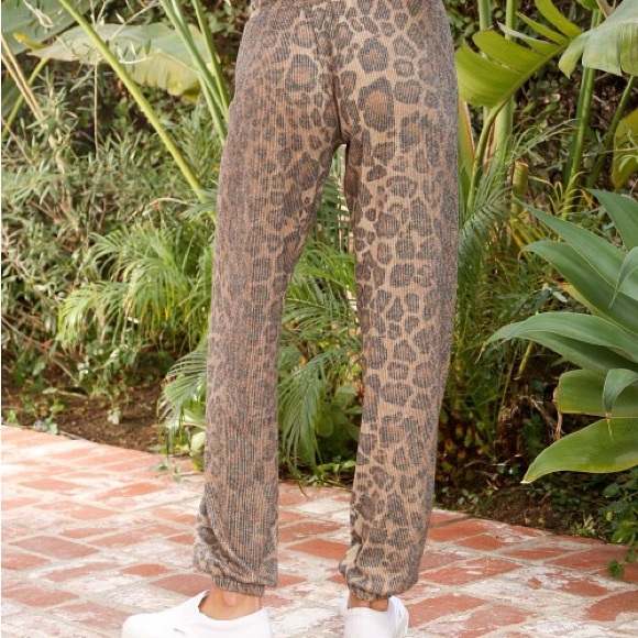 COPY - LNA Leopard Hoodie & Jogger - Picture 2 of 6